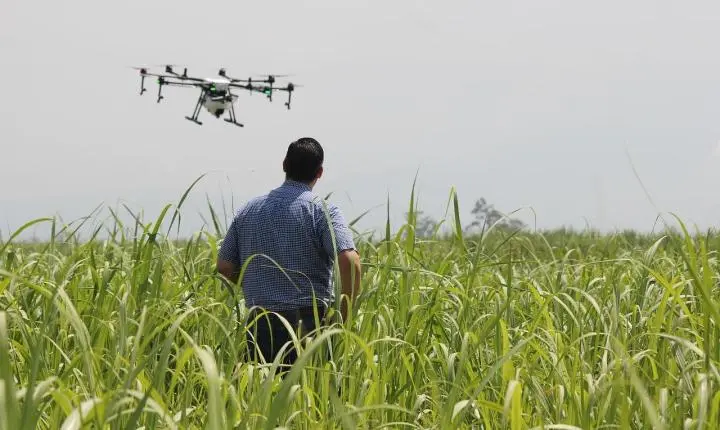 Do uso de drones à agricultura regenerativa, o setor agro brasileiro alia tradição e inovação para alimentar o mundo e impulsionar a economia.
